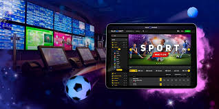 Everything You Need to Know About Safi Bet